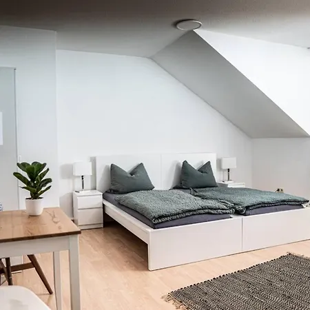 Gemuetliche Ferienwohnung Im Zentrum Von Plauen Exterior photo